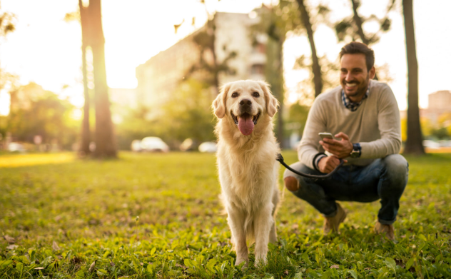 Więź z psem: jak ją budować i dlaczego ma kluczowe znaczenie w codziennym życiu
