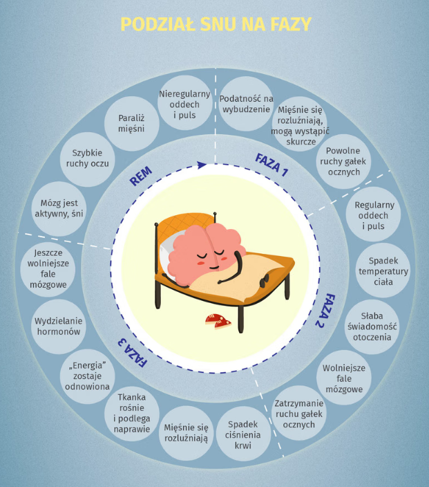 Spanie przy otwartym oknie a zdrowie snu: co mówią badania Duńskiego Uniwersytetu Technicznego i komu to naprawdę służy (2025)