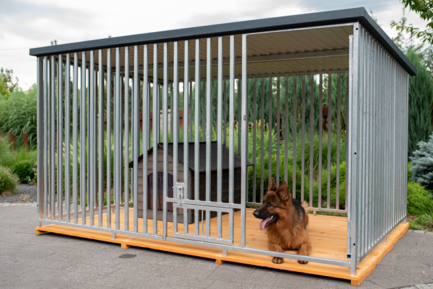 Sejm nie odrzucił weta prezydenta do „ustawy łańcuchowej” (grudzień 2025). Wynik głosowania i kulisy debaty o ochronie zwierząt