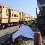 Katastrofa kolejowa w Indiach: siedem słoni zginęło w wyniku zderzenia w Assam