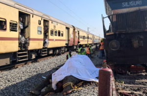 Katastrofa kolejowa w Indiach: siedem słoni zginęło w wyniku zderzenia w Assam