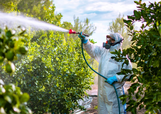 UE zaostrza kontrole importu żywności od 2026 roku — nowe zasady, audyty, limity pestycydów