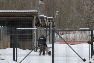 Schronisko „Happy Dog” w Sobolewie zamknięte. Decyzja weterynarii z Garwolina i reakcja Tuska