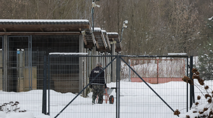 Schronisko „Happy Dog” w Sobolewie zamknięte. Decyzja weterynarii z Garwolina i reakcja Tuska
