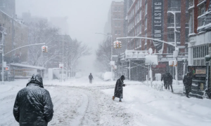 Śnieżyca w USA: dlaczego ogłoszono stan wyjątkowy w 7 stanach i co dzieje się w Nowym Jorku?