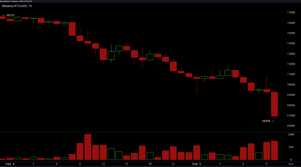 Bitcoin poniżej 67 tys. USD: co uruchomiło wyprzedaż i czy to dopiero początek spadków?
