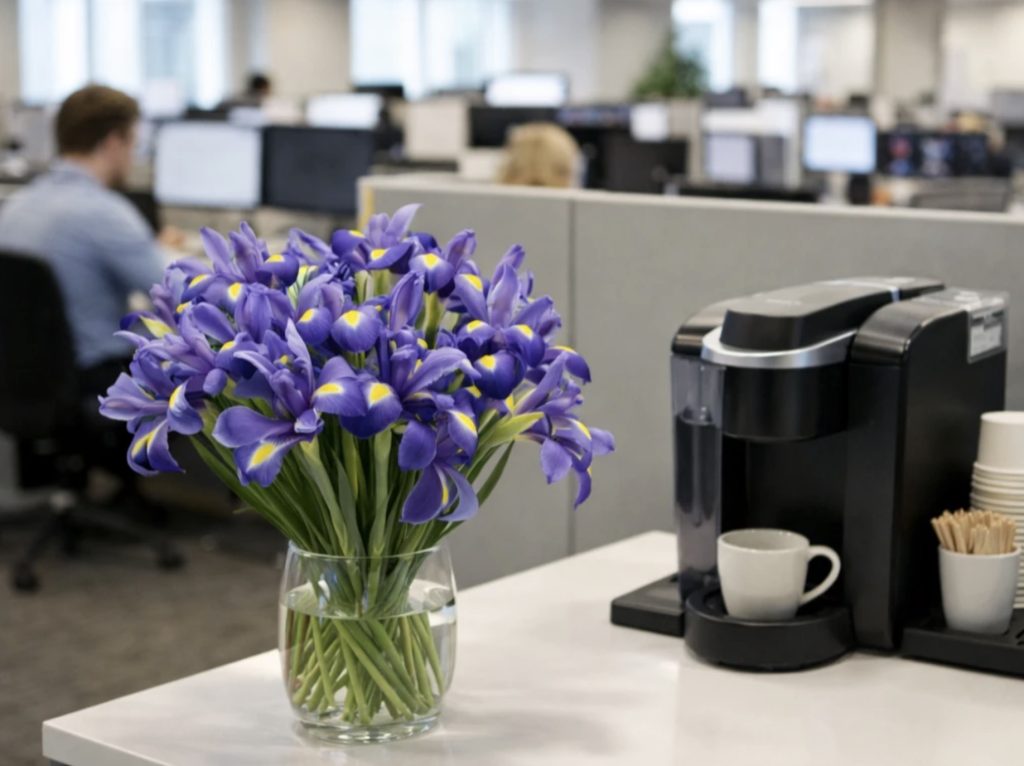 Świeże irysy w strefie relaksu dla pracowników – wiosenne kwiaty w nowoczesnym biurze.