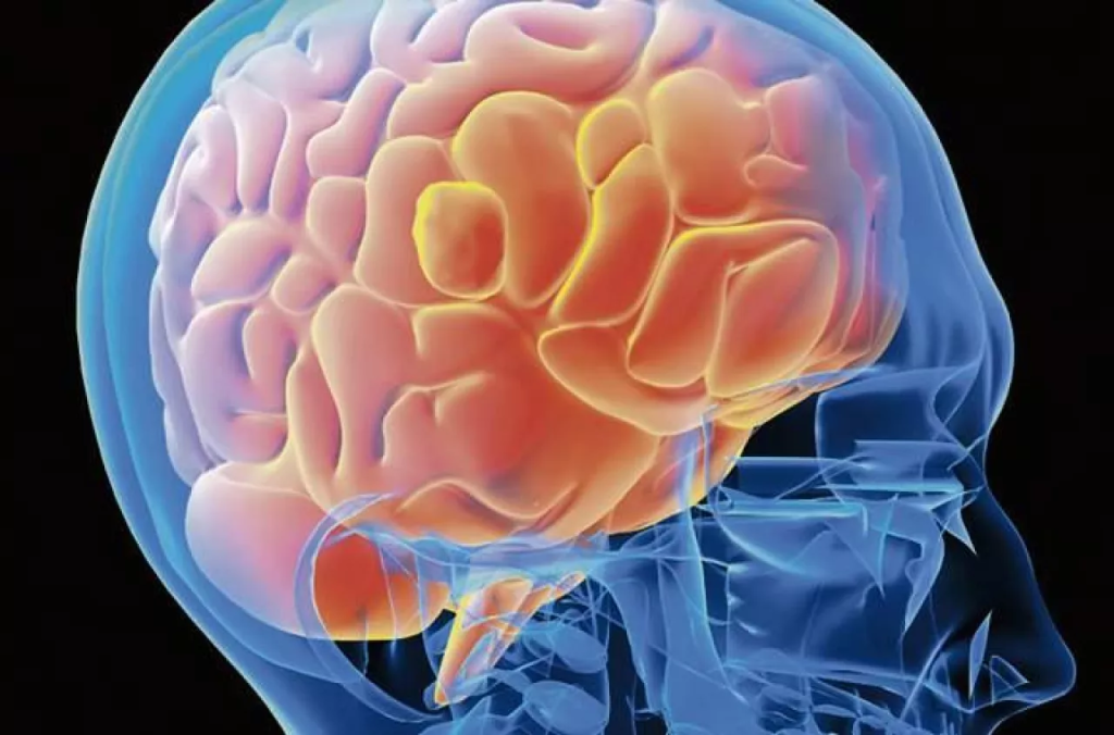 Epidemia zapalenia opon mózgowych w Kent. Co wiadomo o ognisku, które niepokoi służby