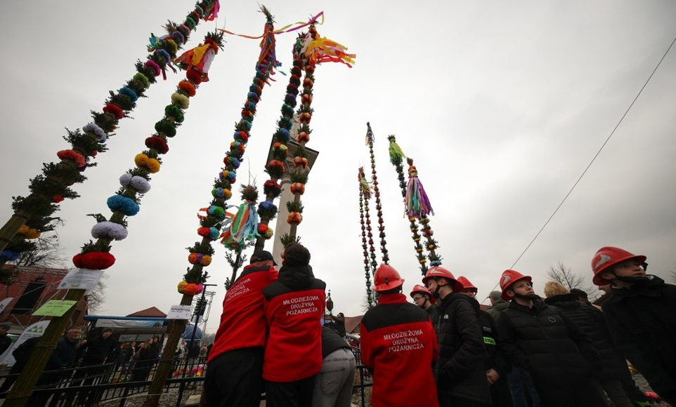 Konkurs Lipnickich Palm 2026 rozstrzygnięty. Kto wygrał i ile metrów miała najwyższa palma w Lipnicy Murowanej?