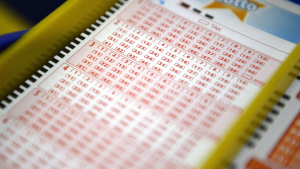 Wyniki Lotto 11.04.2026. Sprawdź liczby z Lotto, Lotto Plus, Multi Multi, Kaskady i Mini Lotto