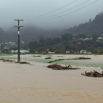 Cyklon Vaianu uderzył w Nową Zelandię. Co dzieje się na Wyspie Północnej po przejściu żywiołu