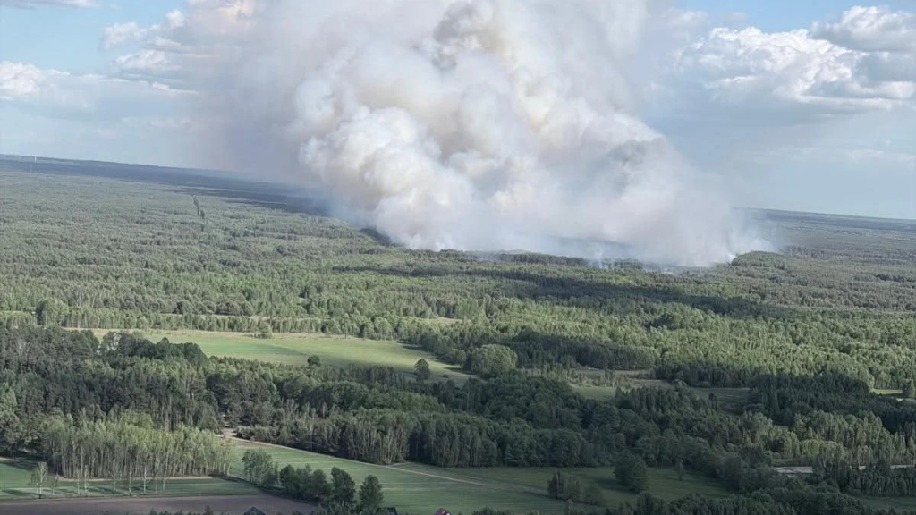 Pożar lasu pod Warszawą: gdzie wybuchł, kto jest zagrożony, co z DK50 i czy to podpalenie?