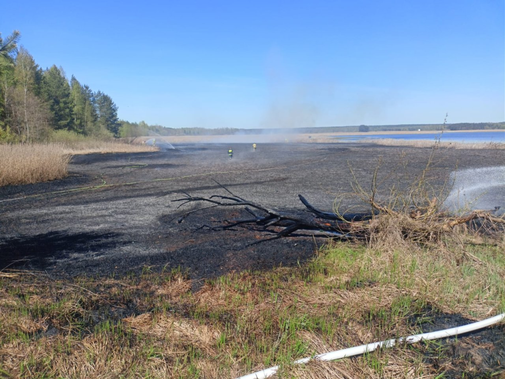 Pożar nad Siemianówką. Co stało się przy plaży i dlaczego wezwano 8 zastępów straży?
