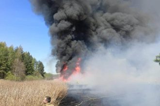 Pożar nad Siemianówką. Co stało się przy plaży i dlaczego wezwano 8 zastępów straży?