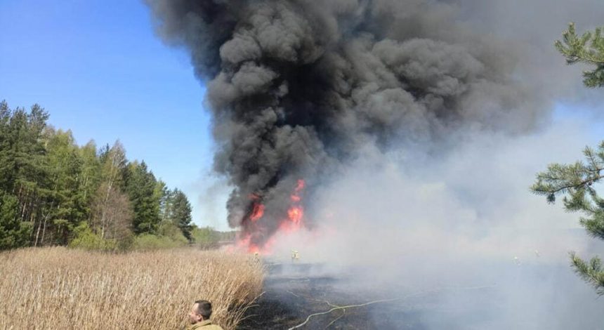 Pożar nad Siemianówką. Co stało się przy plaży i dlaczego wezwano 8 zastępów straży?
