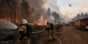 Pożar na Lubelszczyźnie wymyka się strażakom? Co dzieje się w powiecie biłgorajskim