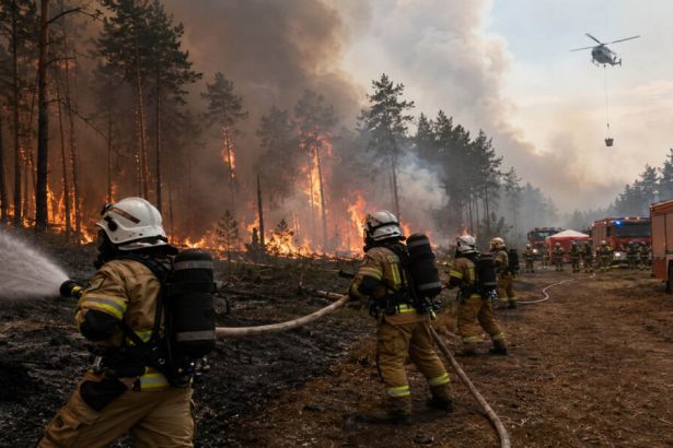 Pożar na Lubelszczyźnie wymyka się strażakom? Co dzieje się w powiecie biłgorajskim