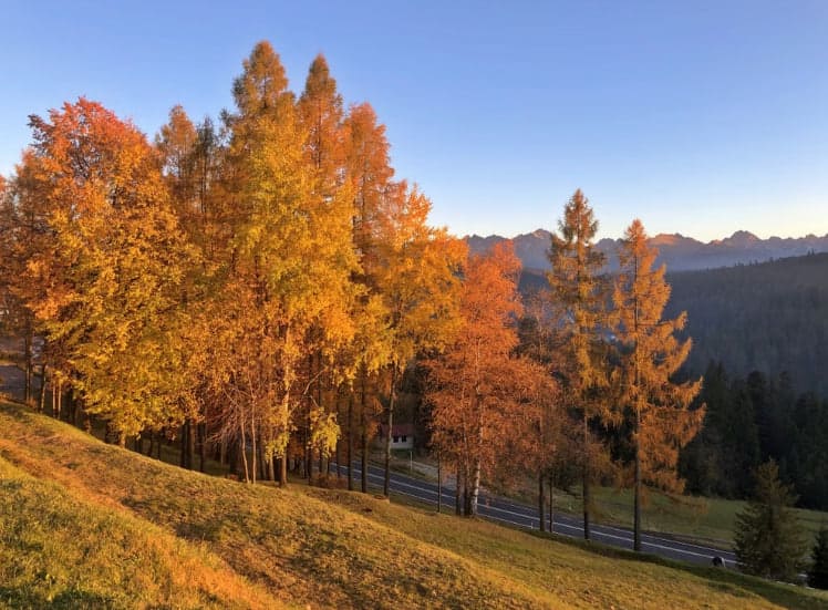 Tour de Pologne 2026, etap 6. Trasa w Bukowinie, godziny i transmisja