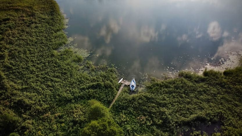Olsztyn Green Festival 2026. Program godzinowy, bilety i mapa festiwalu