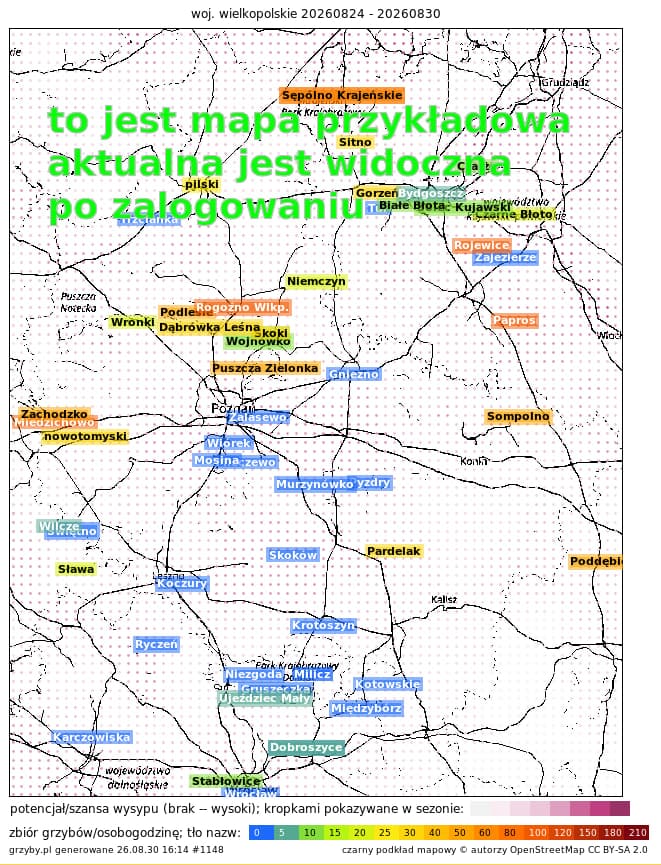 Grzyby ruszyły, ale nie wszędzie. Gdzie końcówka sierpnia naprawdę przyniosła wysyp?