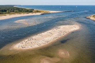 Nowa wyspa w Mikoszewie nad Bałtykiem. Gdzie jest i czy można tam wejść?