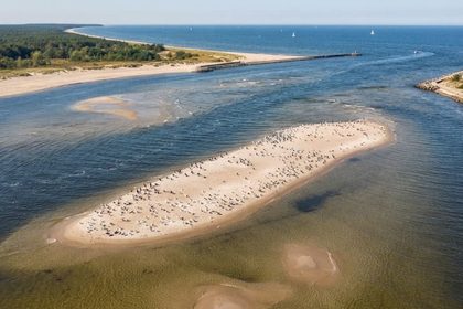 Nowa wyspa w Mikoszewie nad Bałtykiem. Gdzie jest i czy można tam wejść?