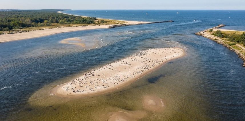 Nowa wyspa w Mikoszewie nad Bałtykiem. Gdzie jest i czy można tam wejść?
